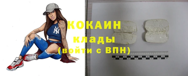 кокс Алексин